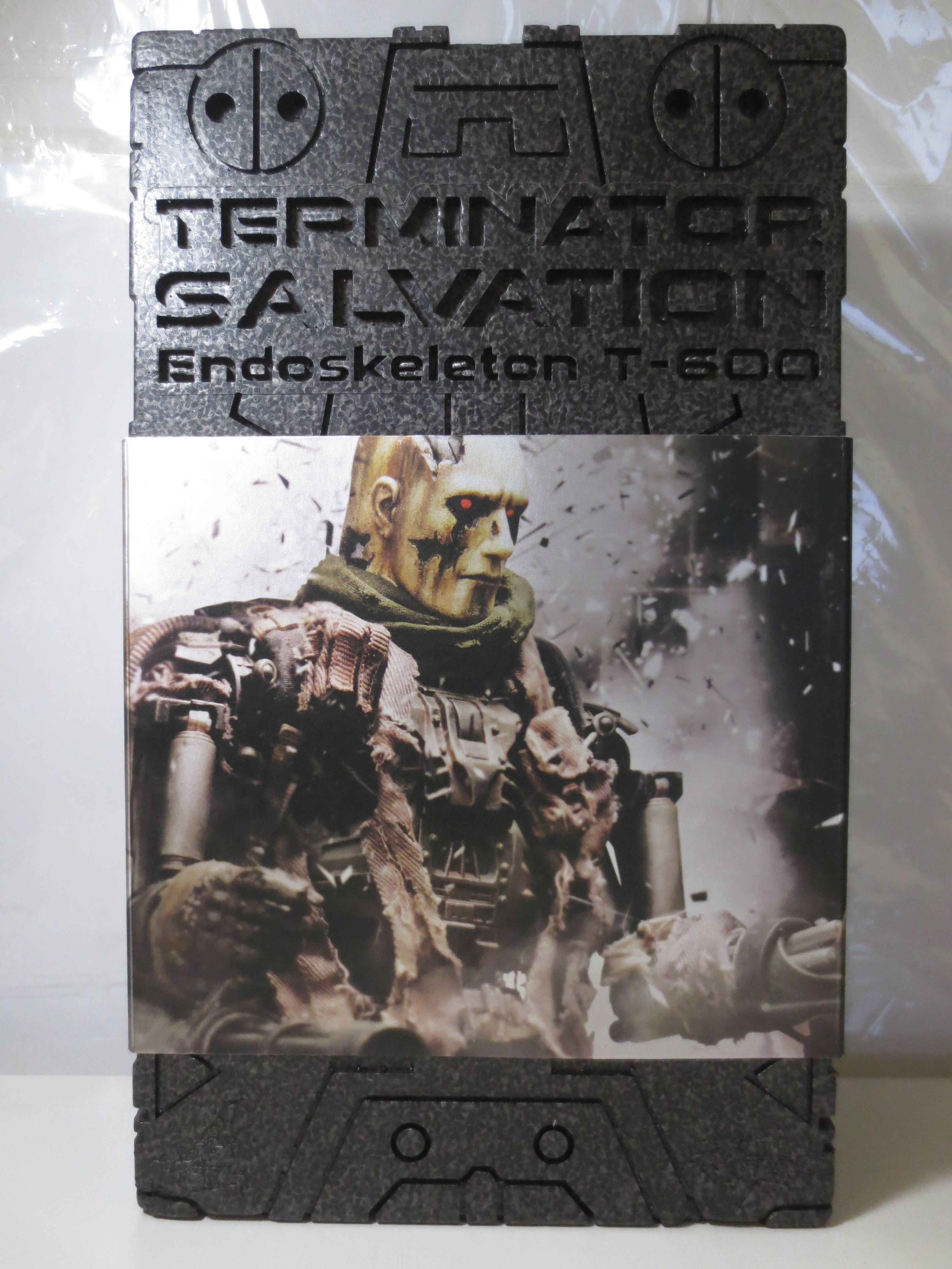 HOTTOYS MOVIE MASTERPIECE/TERMINATOR SALVATION 【MMS104 エンド