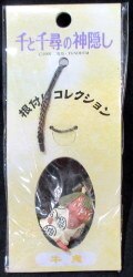 An ornamental-button-for-suspending-a-pouch collec