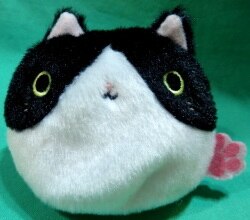 a cat -- a dumpling 