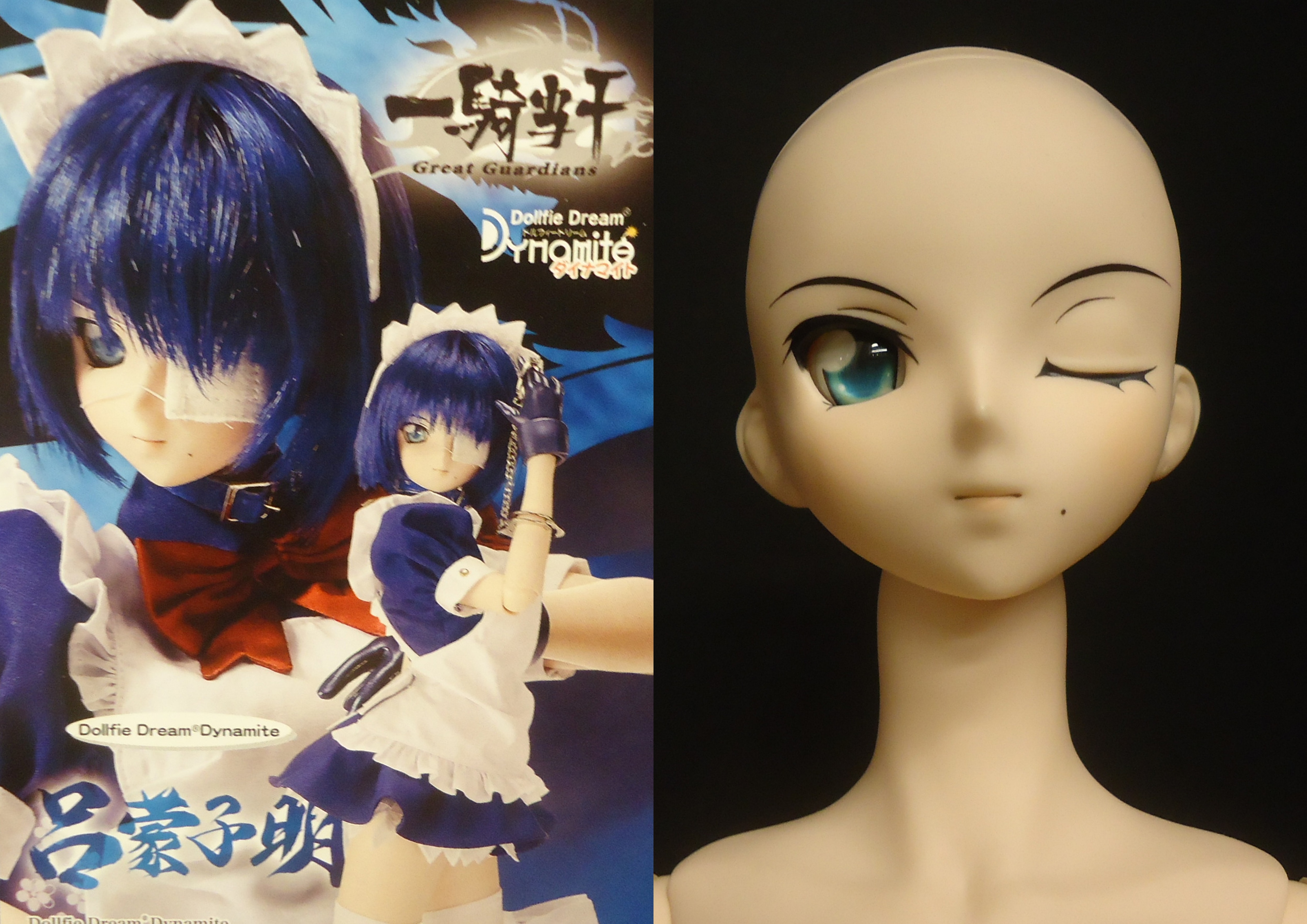 Volks DDdy Ikki Tousen (Battle Vixens) Shimei Ryomou * head and