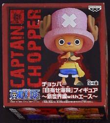 Aim to Pirate Figure New World Version with Ace / 