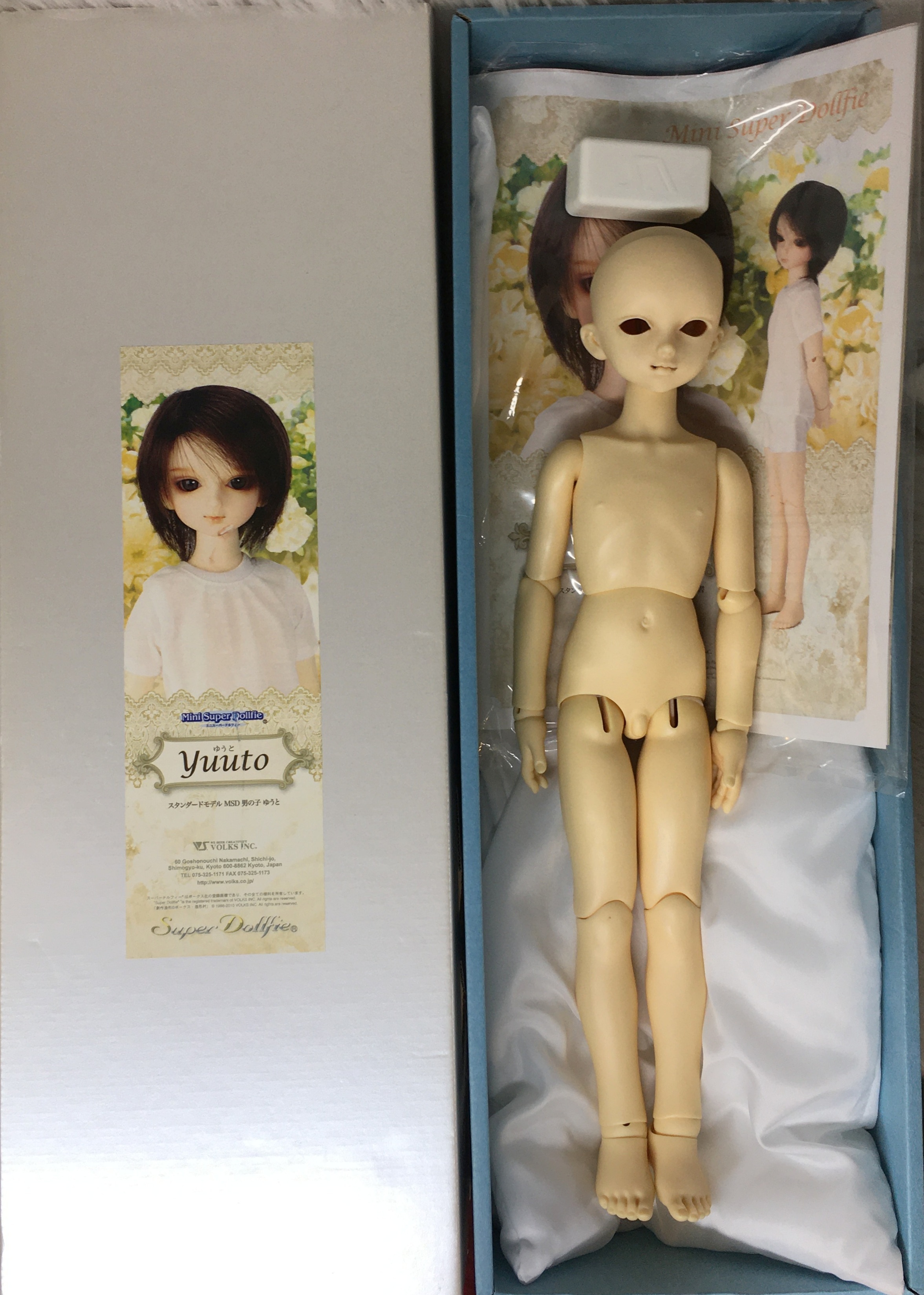 【アイテム】MSD　VOLKS　ミニスーパードルフィー 人形