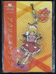 Acrylics strap 