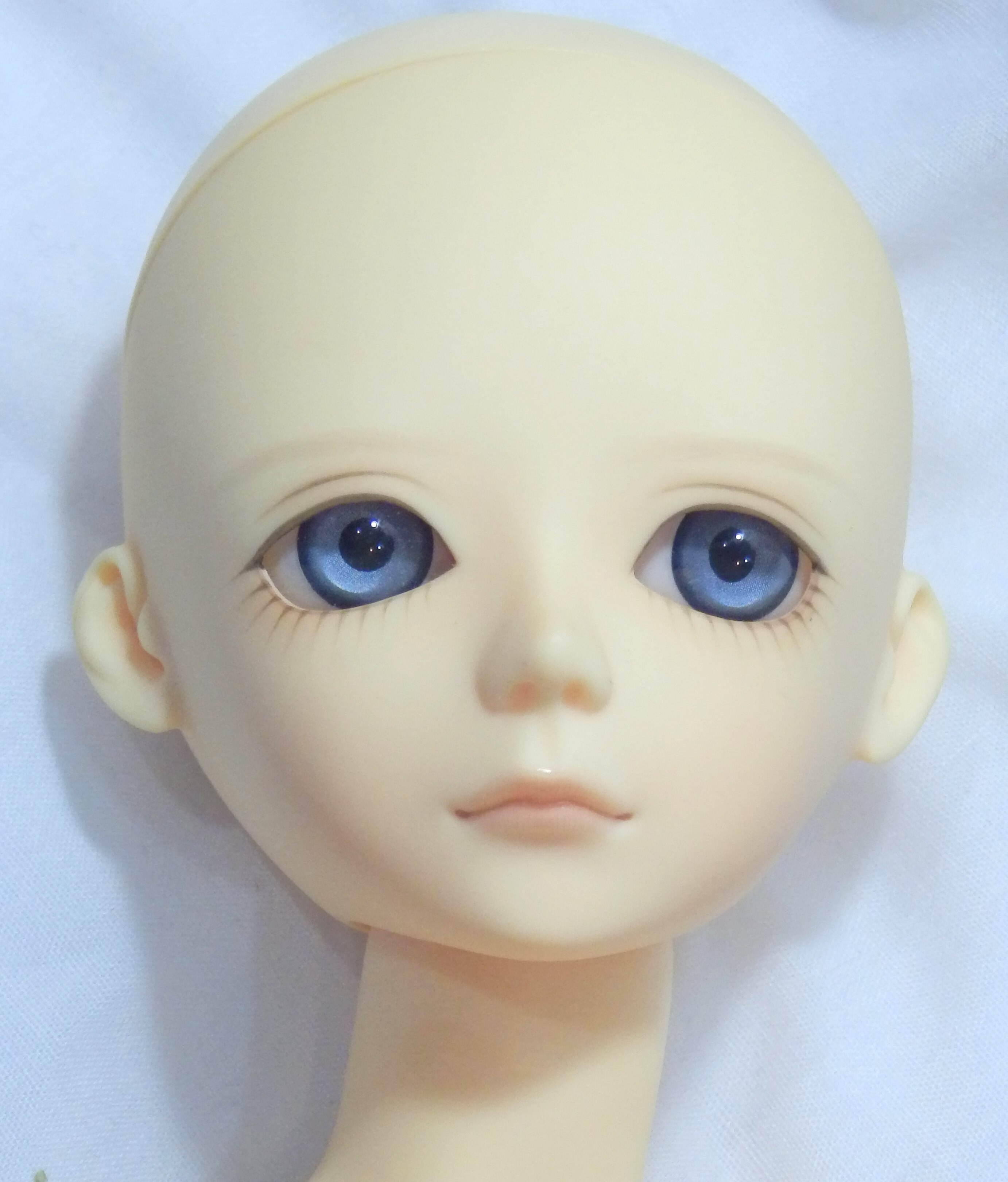 Blue Fairy Tiny Fairy Gus classic boy body normal skin | Mandarake