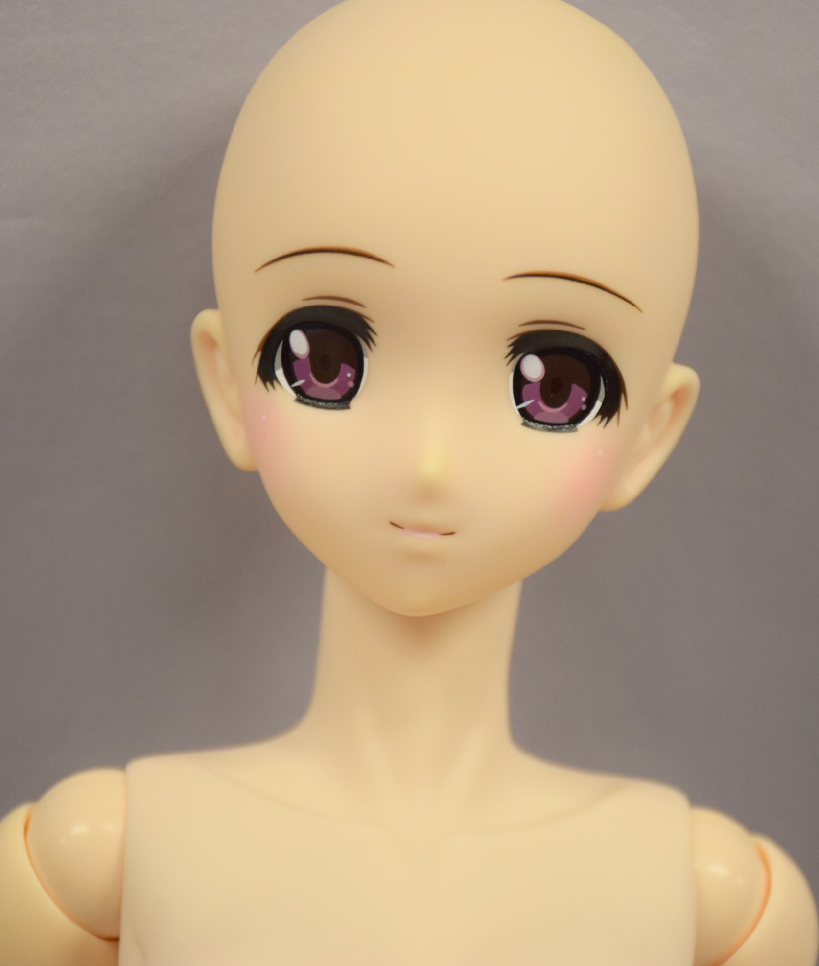 azone head