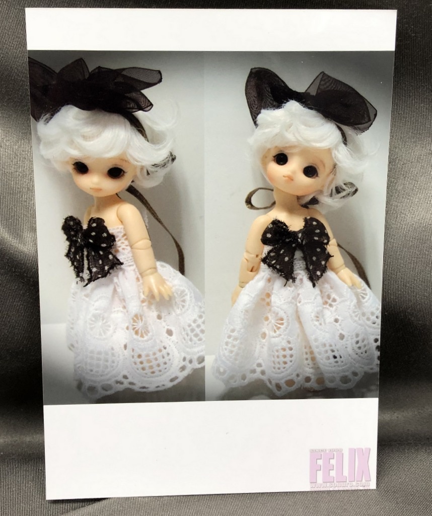 FELIX Brownie doll with costume, Wig and shoes | Mandarake Online Shop