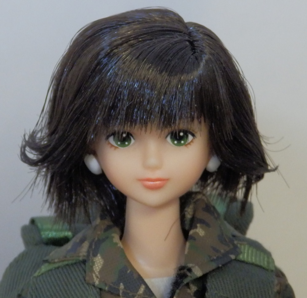 Little Factory Licca-chan Castle Jenny Friend Zion Seiko-chan cut-style  short hair black hair costume of calendar girl May Army Kisara | Mandarake  Online Shop