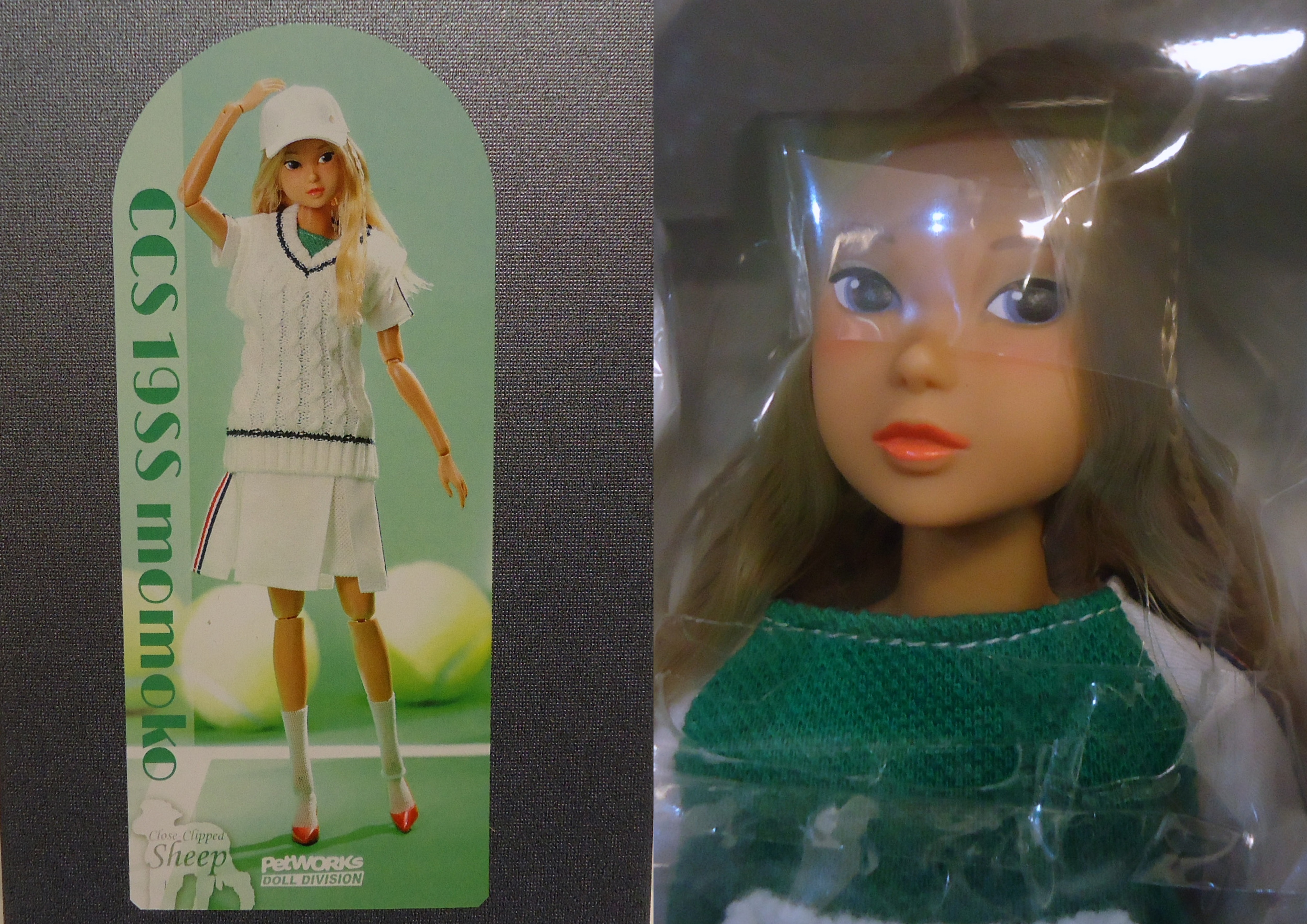 CCS 16SP momoko 本体のみ 未使用 ペットワークス 満点の