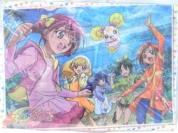 A4 Clear File / Smile PreCure!