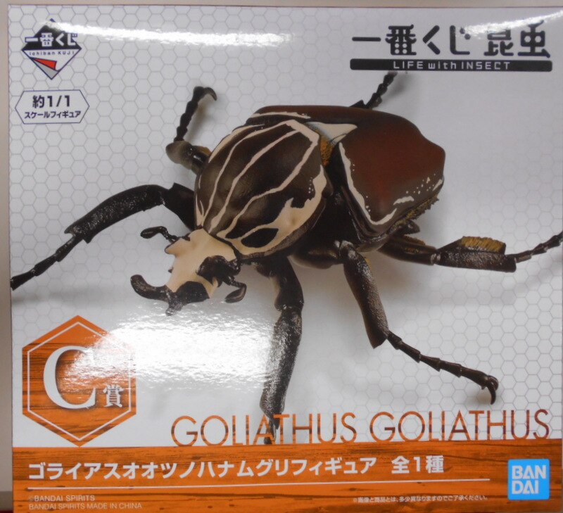 BANDAI SPIRITS 一番くじ 昆虫 LIFE with INSECT C賞ゴライアス