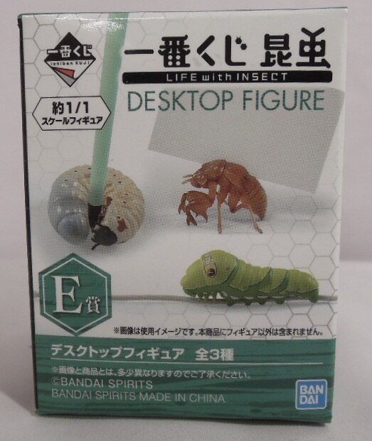 Details about   LIFE with INSECT Goliathus goliathus Figure Ichiban kuji Prize C BANDAI 