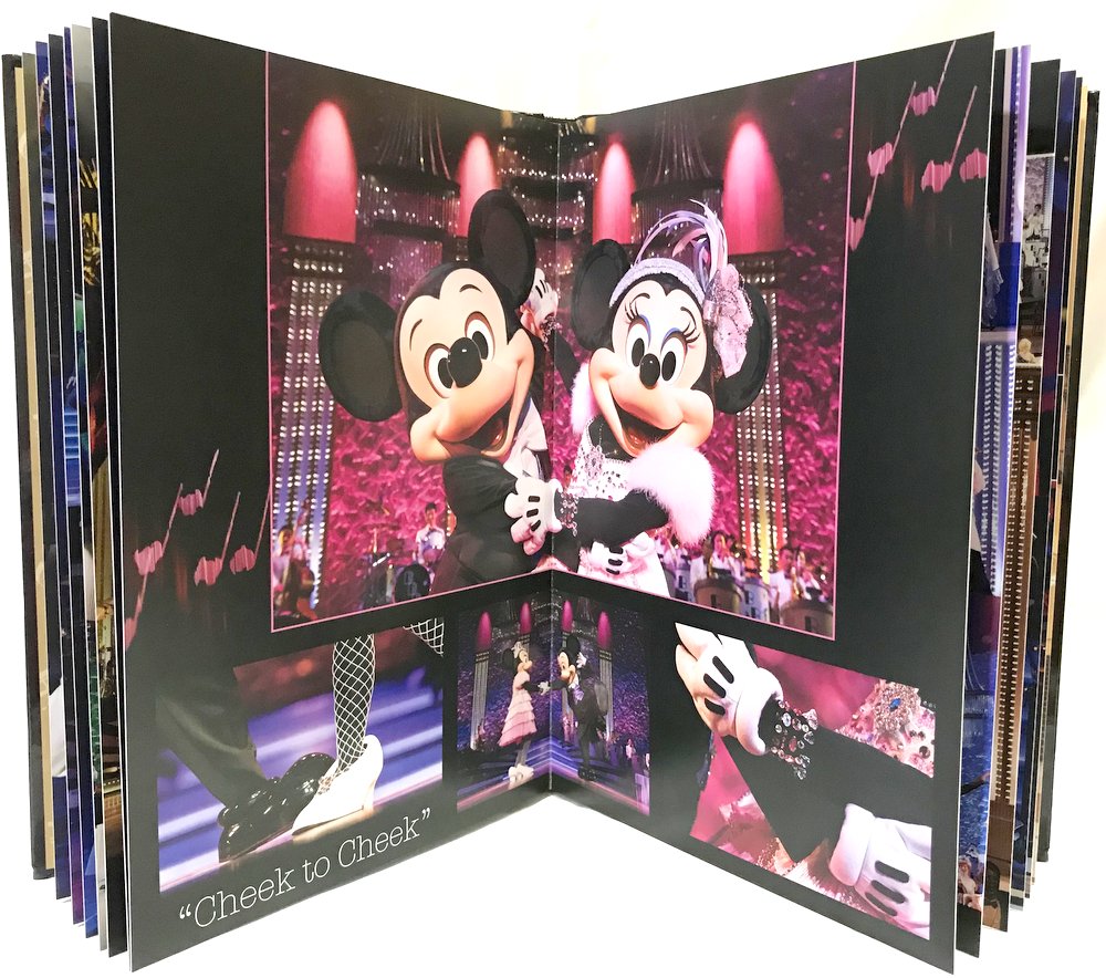 東京ディズニーシー ビック バンド ビート 15周年 フォトブック まんだらけ Mandarake