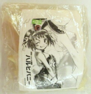 レジンキャストキット ハルヒバニー イベント販売版/袋パッケージ