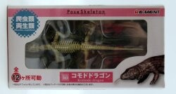 リーメント ポーズスケルトン/爬虫類 両生類 コモドドラゴン 203