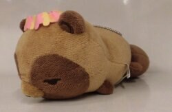 Attached to the bag Plush Stuffed Toy butterfly and Tanuki