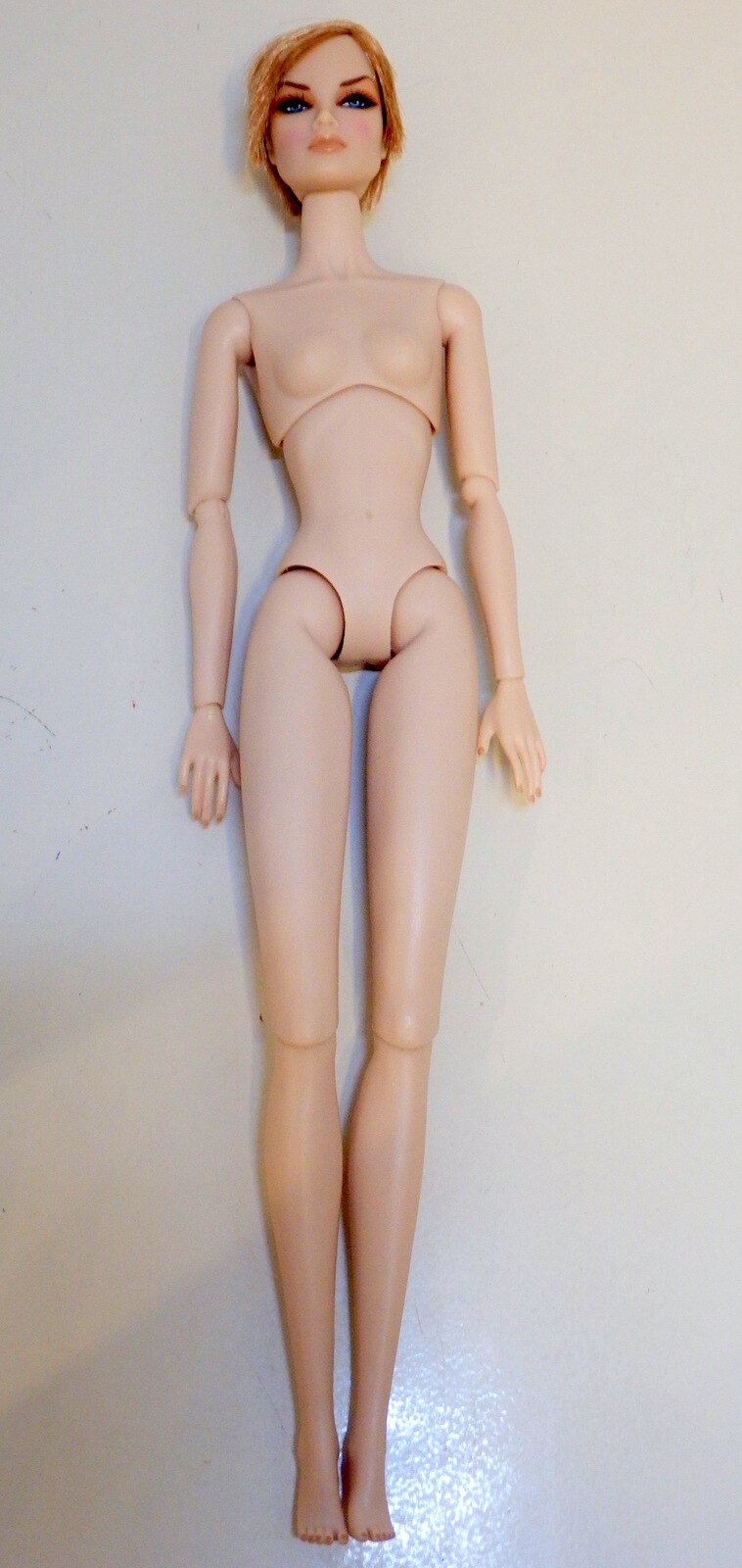 当季大流行 accessories] with ・ Box Integrity Imogen NU.FACE Toys その他