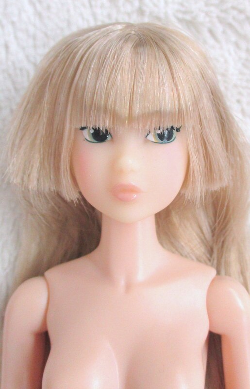 Petwork CCs MoToday's Momoko 20HB | MANDARAKE 在线商店