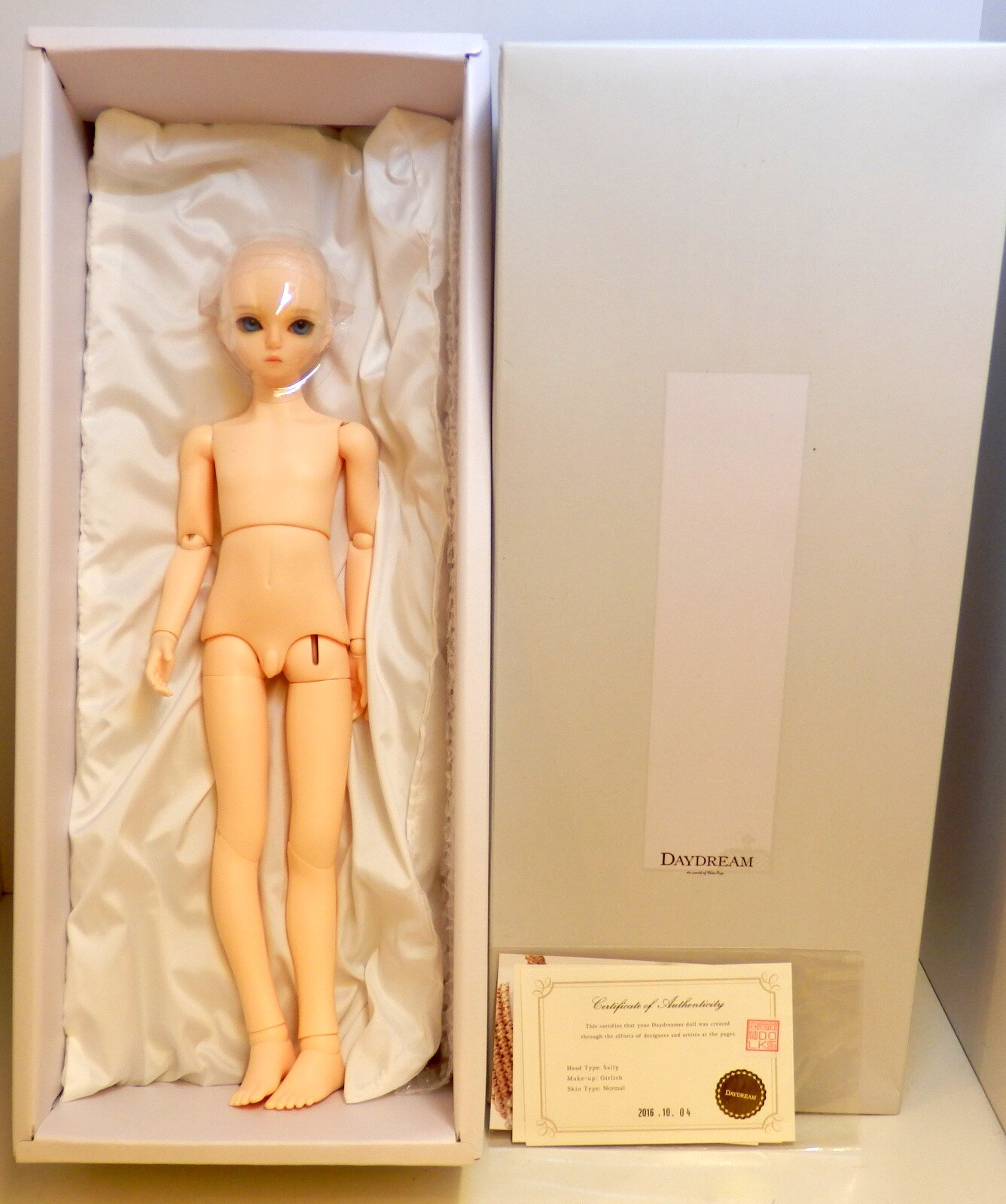 DAYDREAM fair lady body ボディ 1/4 | nate-hospital.com