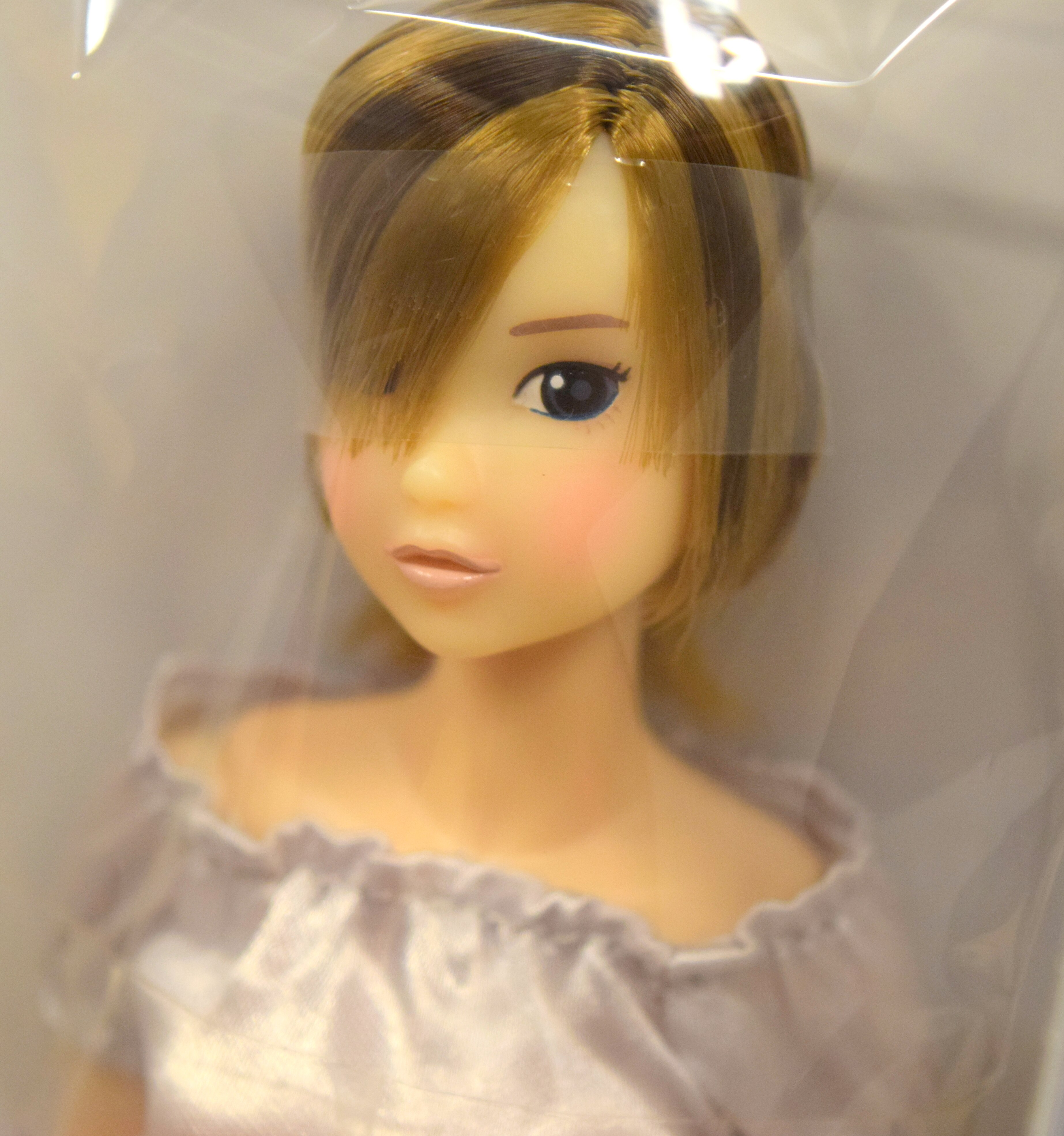 ペットワークス CCS-momoko Today's momoko 1901 | まんだらけ Mandarake