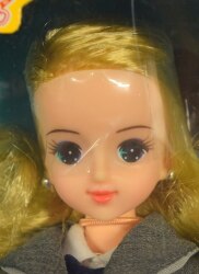 A high school student Rika-chan series
