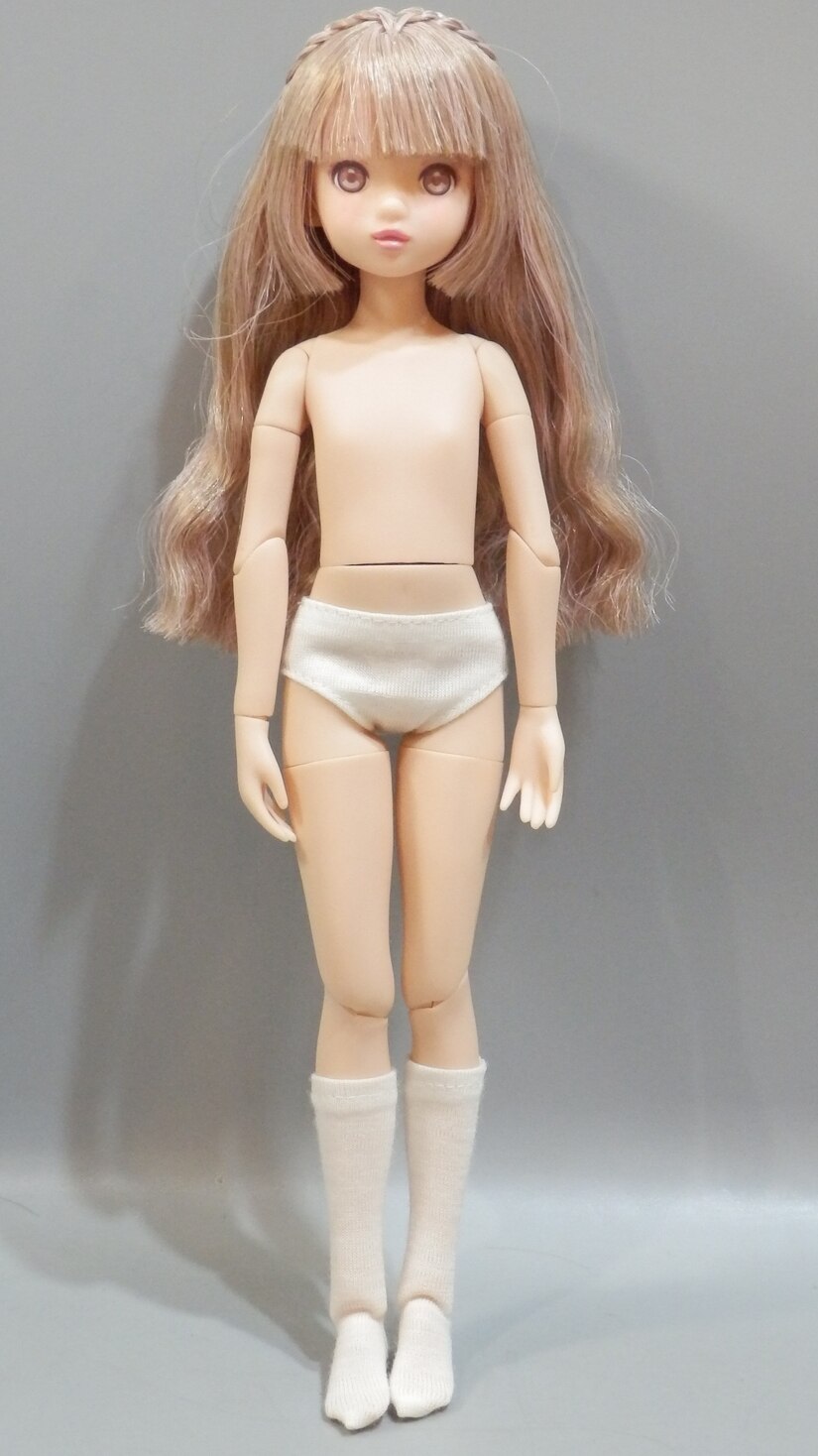 Petworks CCSgirl 22AW ruruko girl | Mandarake Online Shop