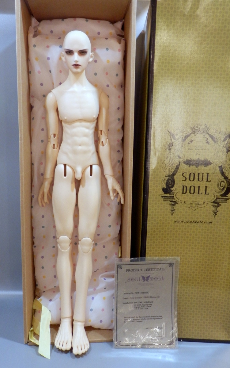 SoulDoll Zenith boy Body(Double) 普通肌 - www.drapaulakoerich.com.br