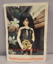 Atelier / Feather Snow