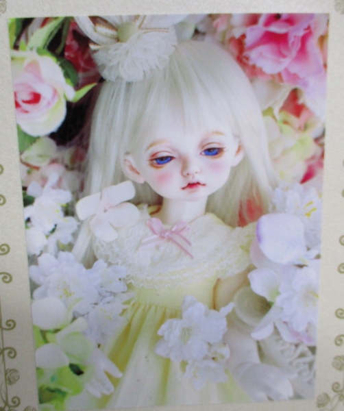 Rosen Lied Holiday's Child Limited Basic Mignon (reverie ver