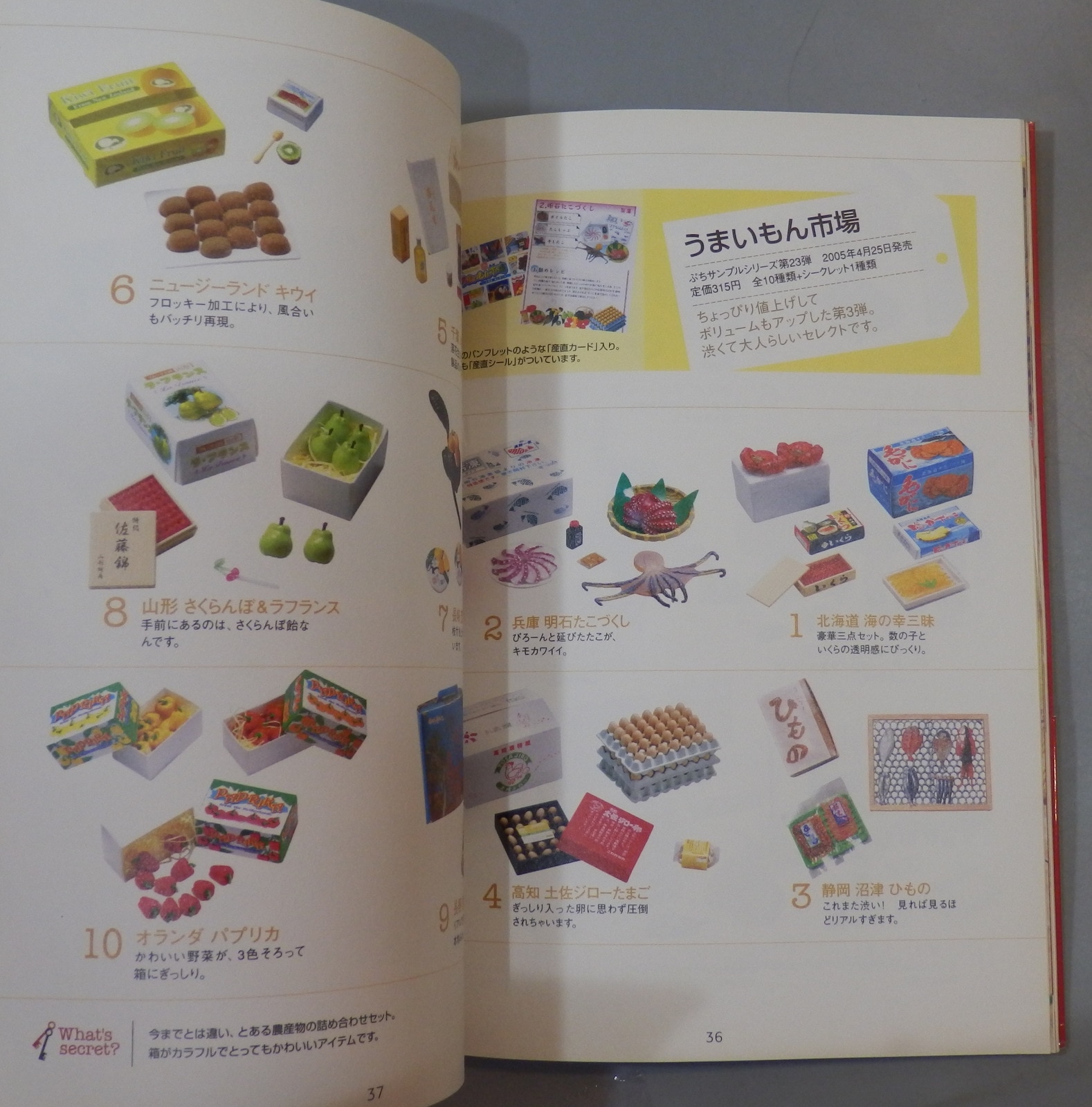 人気ショップが最安値挑戦!】 リーメント ぷちサンプル BOOK zppsu.edu.ph