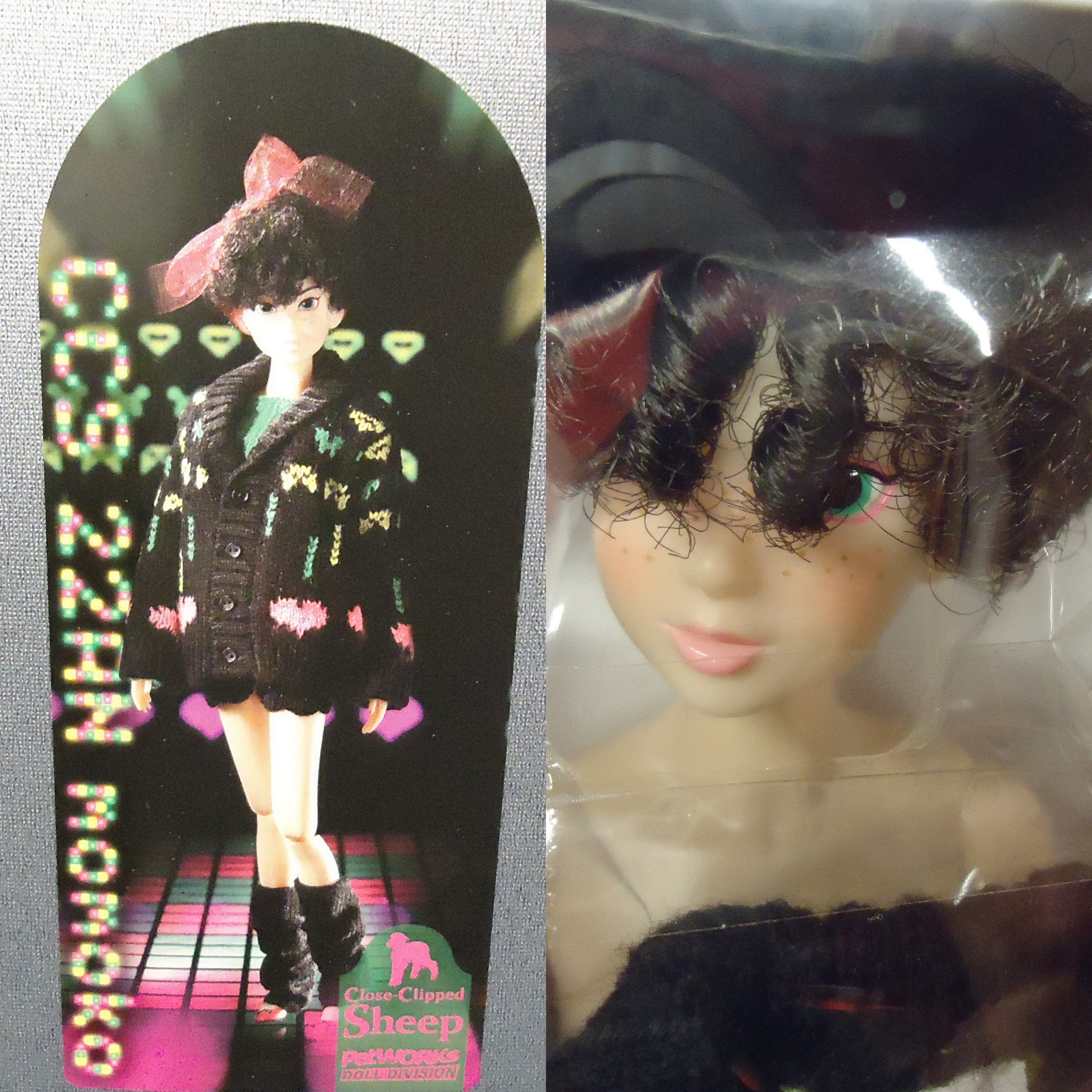 CCS 22AN momoko ドール