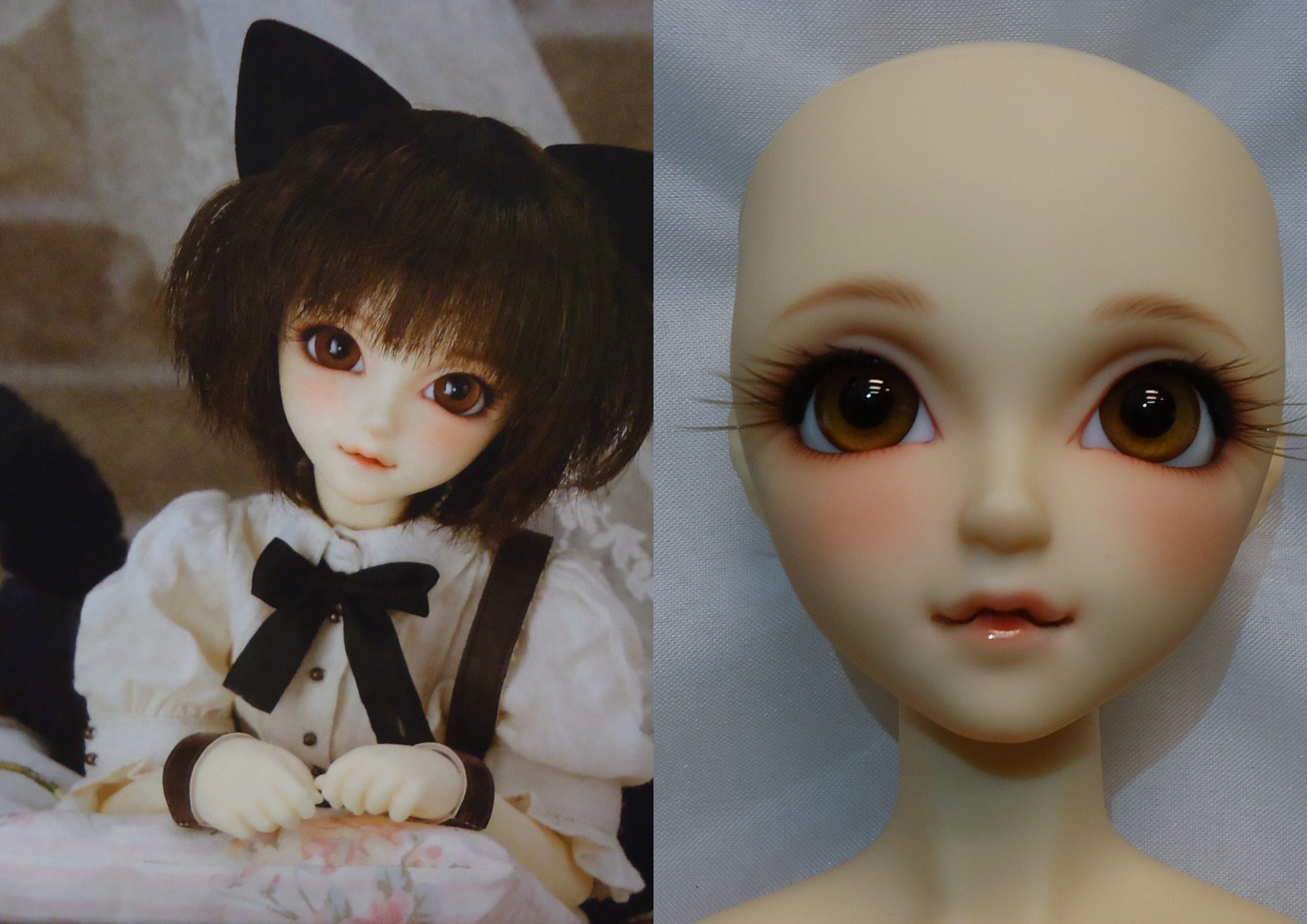 volks sdc girl kuroneko rene 43 * limited sale merchandise order