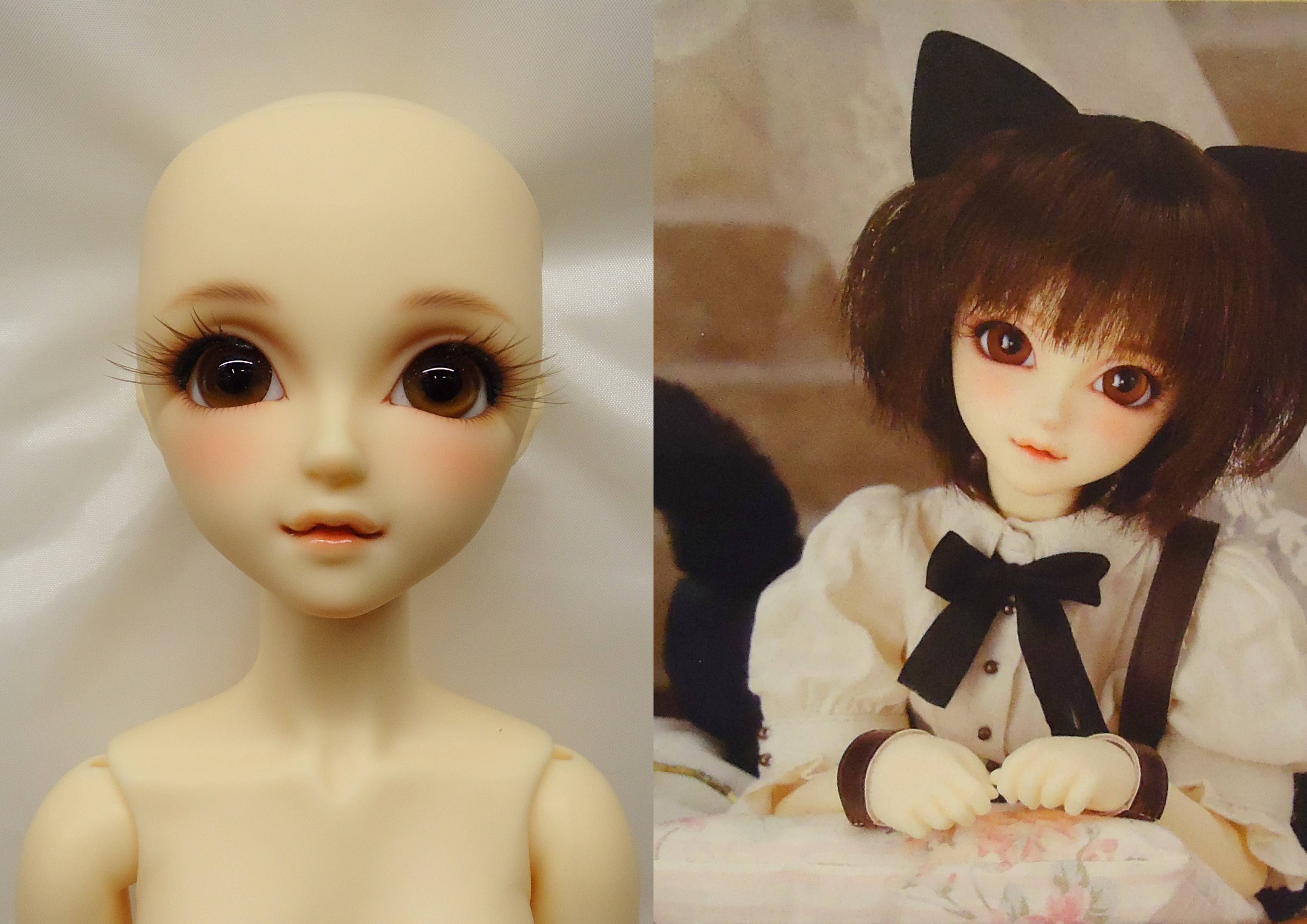 ボークス SDC女の子 黒猫ルネ | まんだらけ Mandarake