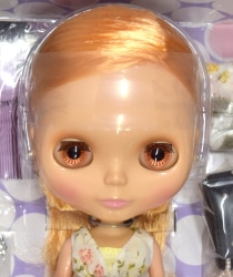 タカラトミー ネオブライス サンシャインホリディ | まんだらけ Mandarake