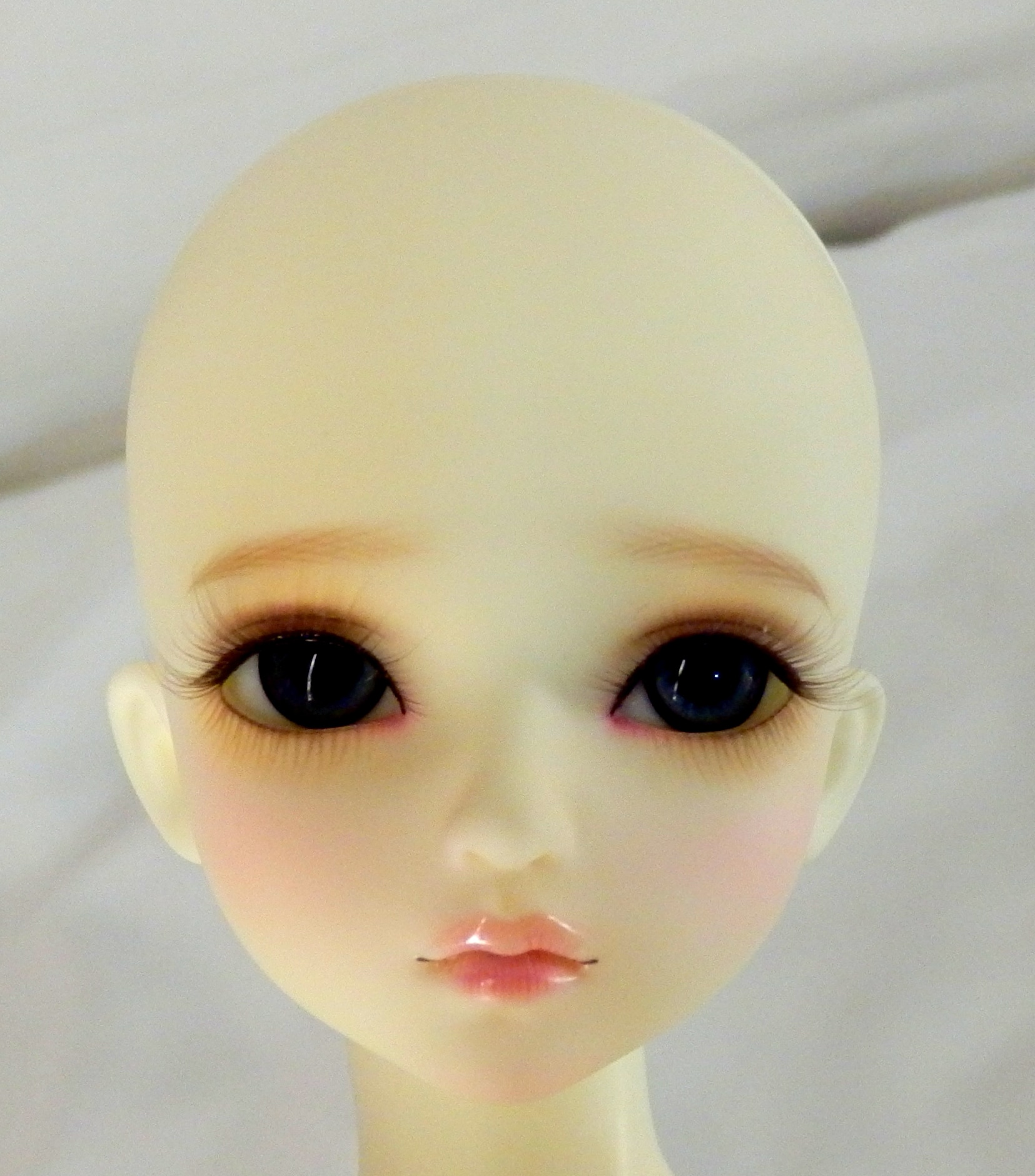 販売割20% MYOU DOLL Delia ヘッド 1/4サイズ - 趣味/おもちゃ