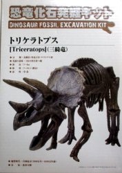 A fear Ryu fossil excavation kit 