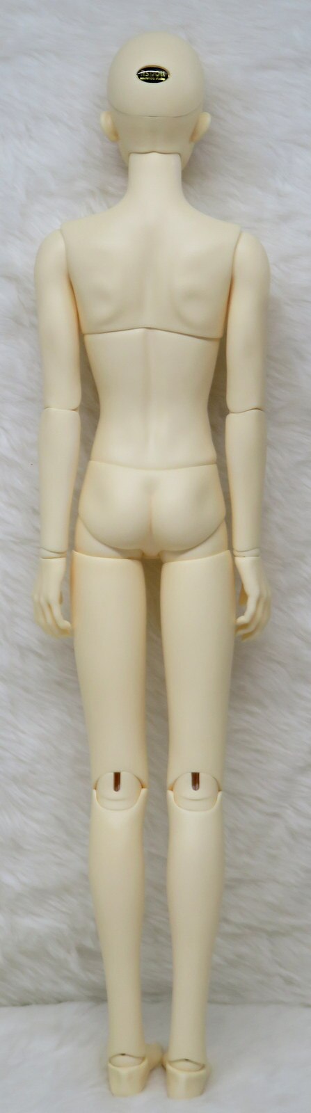 RSDOLL RG Line NEW EVAN Spine Bone System | Mandarake Online Shop