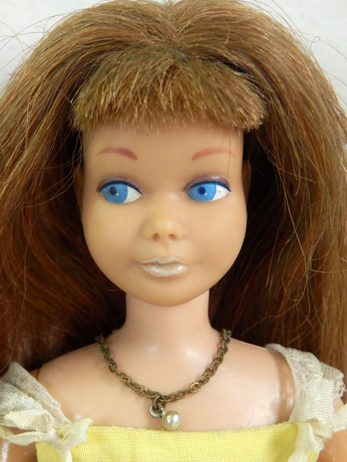 barbie's friend skipper