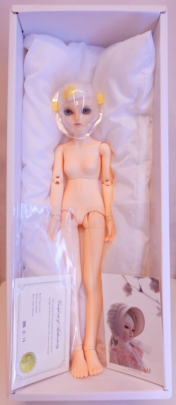DAYDREAM fair lady body ボディ 1/4 - おもちゃ/人形