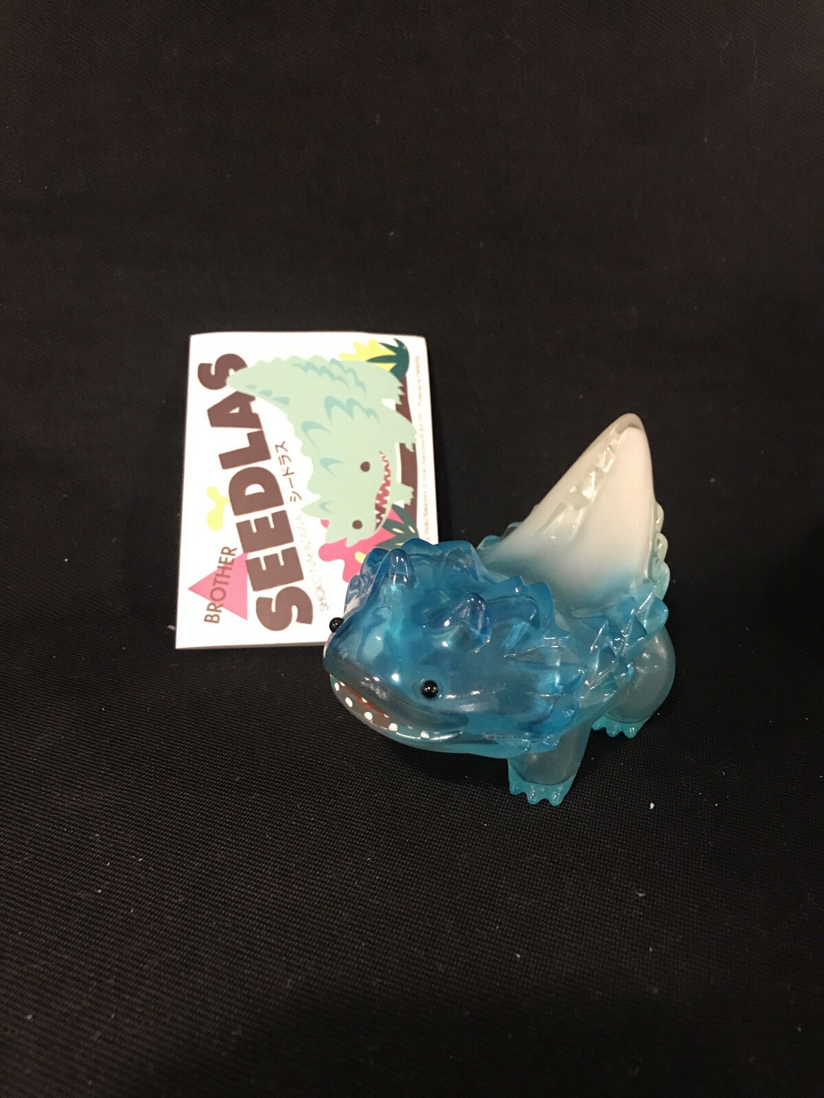 PARADAISE SHOKO NAKAZAWA/KORATERS SEEDLAS BROTHER BEER クリア成型