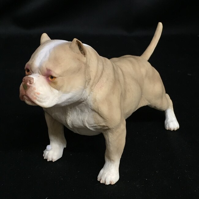 z 1/6 scale / american bully pitbull american bully dog z -002