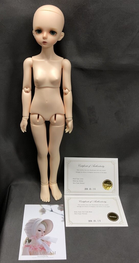 ブリヤンテス・レッド DAYDREAM fair lady body ボディ 1/4