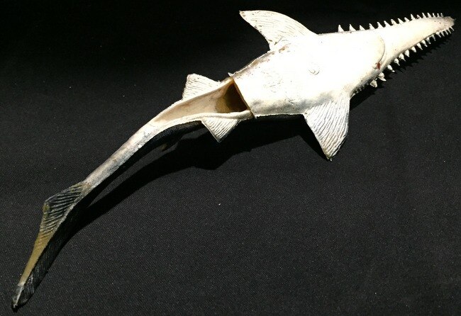 hong kong made getemono sawshark rubber doll about 320㎜