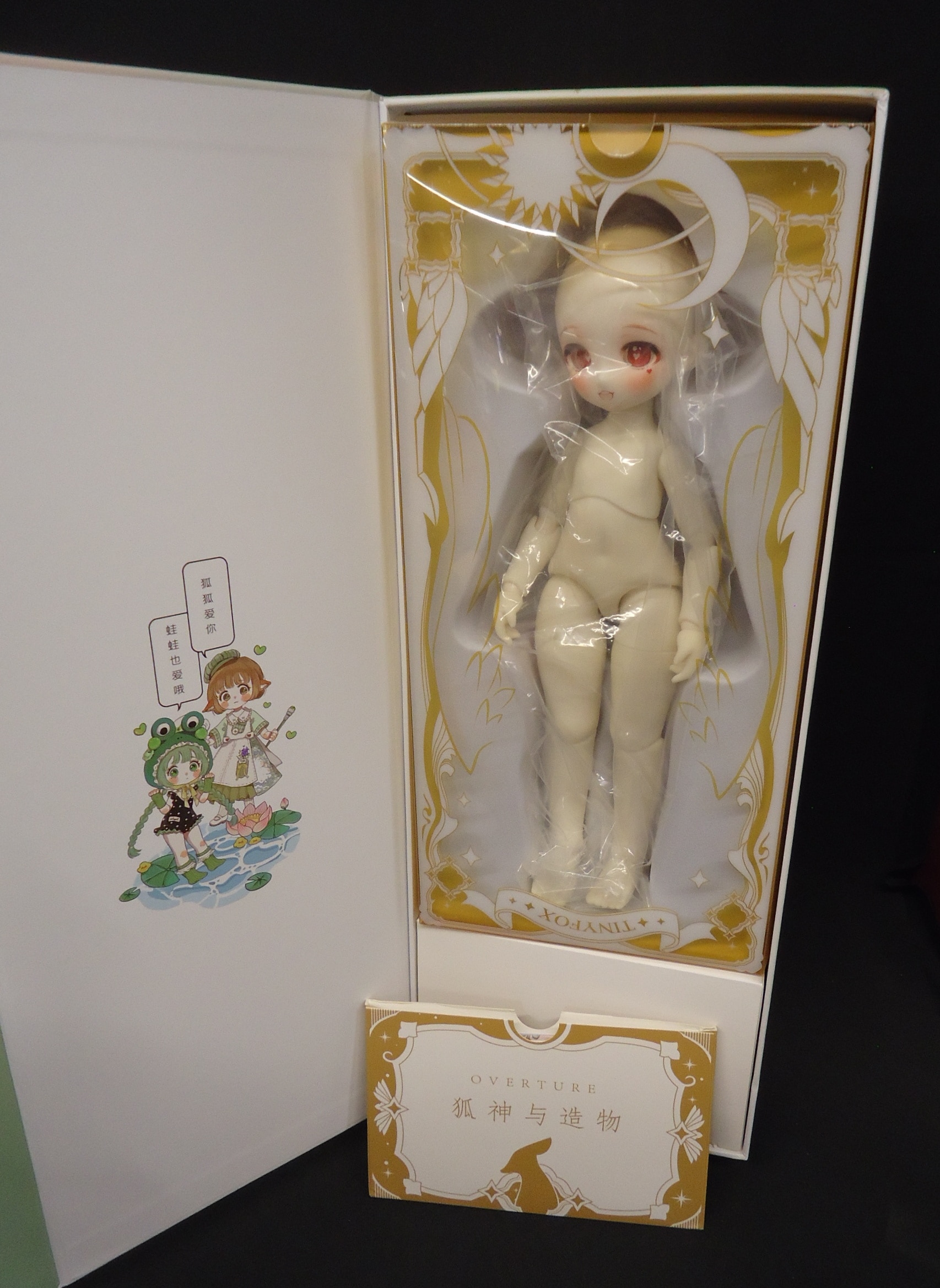 Tiny Fox 1/6 JOLNT DOLL Candy Fullset | まんだらけ Mandarake