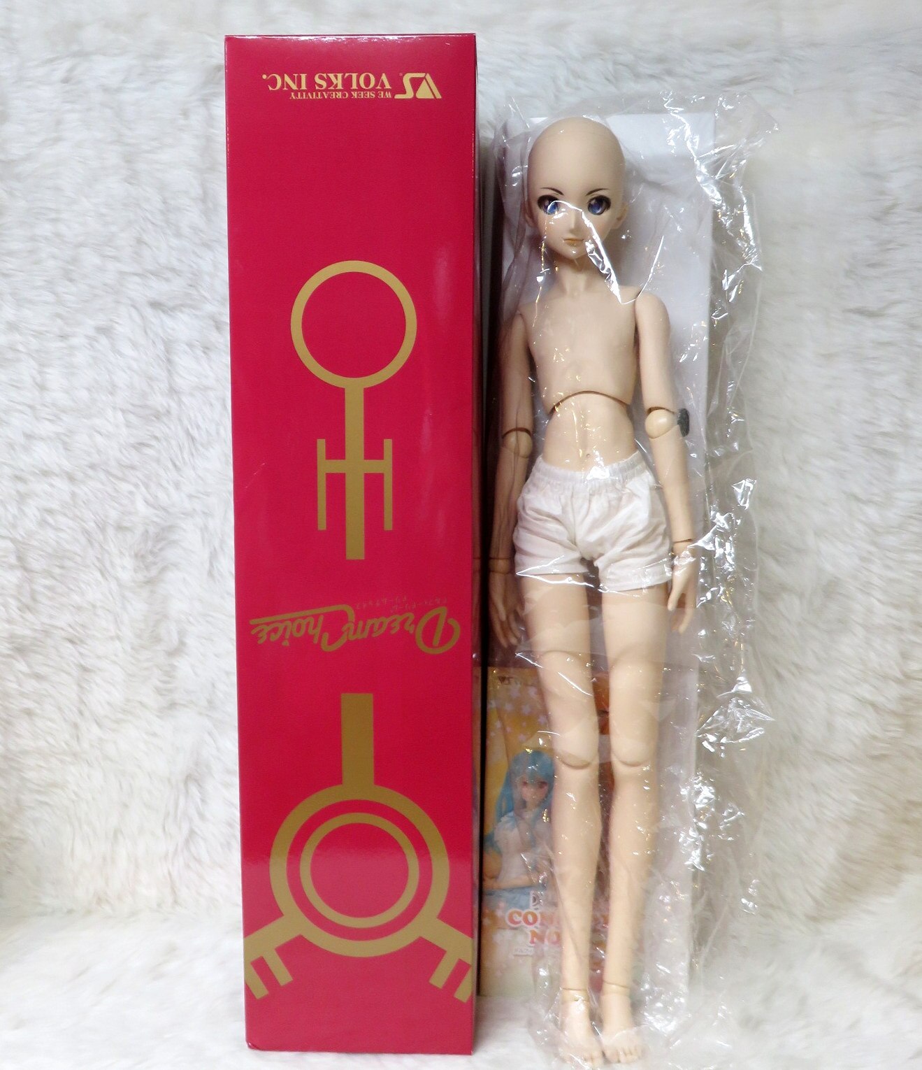 返品送料無料 DDB DDS ドリームチョイス ボークス DC-H26 Dollfie m02