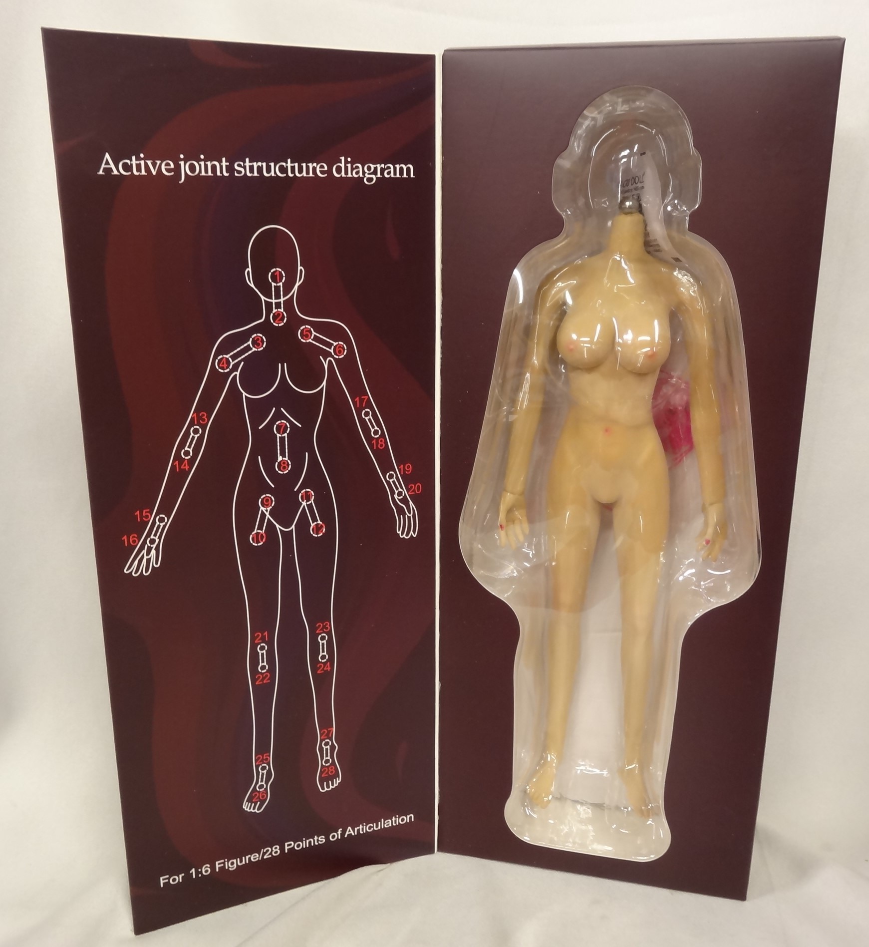 JIAOU DOLL 1:6 seamless female body 大胸 棕色 素体 T3478