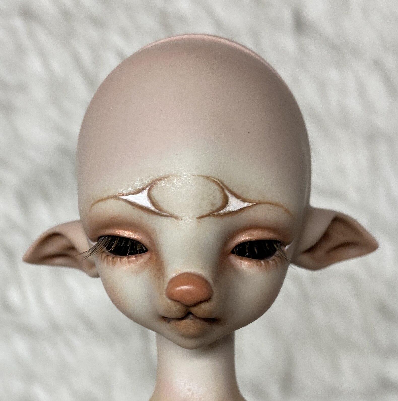 Mandarake bjd store