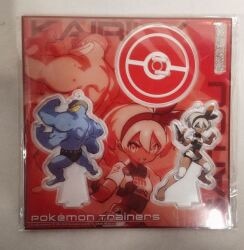 Acrylic Stand Keychain / Pokemon Trainers