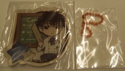 Acrylic key chain collection
