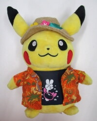 Arora Festival! Plush Stuffed Toy
