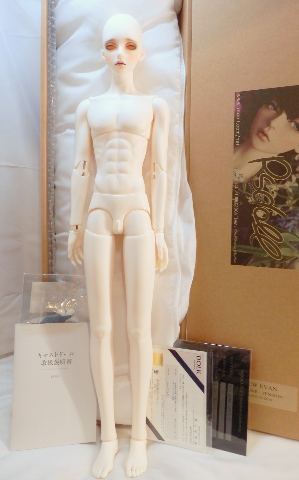 RSDOLL RG Line NEW EVAN WHITE-R SKIN | MANDARAKE 在线商店